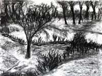 “Winterpark 3a, 2007, Acryl / Papier, 42x56 cm – Klick=großes Bild