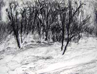 “Winterpark 3a, 2007, Acryl / Papier, 42x56 cm – Klick=großes Bild